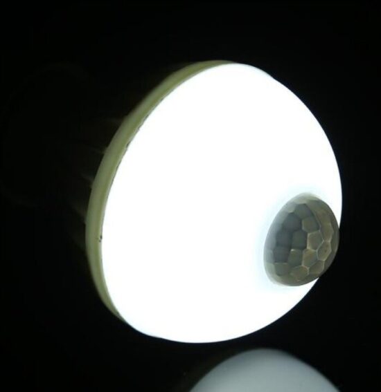 Zarowka-LED-E27-7W-z-czujnikiem-ruchu-i-zmierzchu-Rodzaj-LED