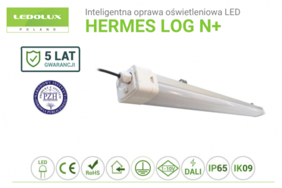 Lampa energooszczędna HERMES LOG N+
