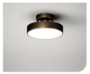 Nowoczesna Skandynawska Minimalistyczna Lampa Sufitowa Asteria w Kolorze Czarnym i Złotym