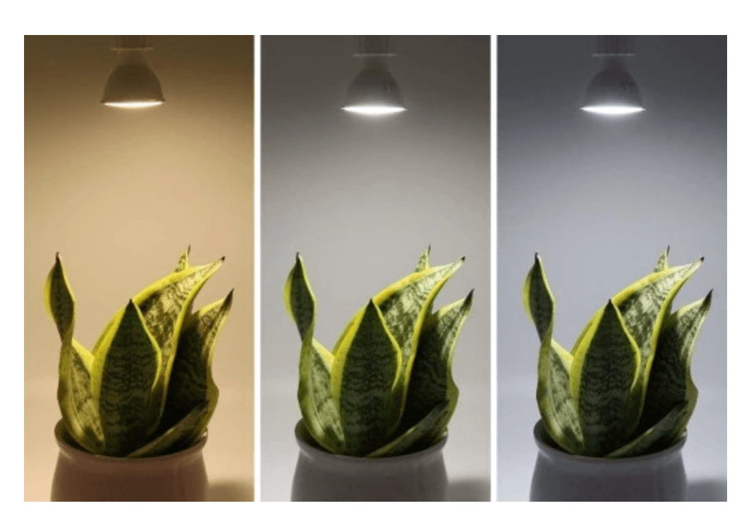 Żarówka LED GU10 RGB 5W=40W TUYA Smart